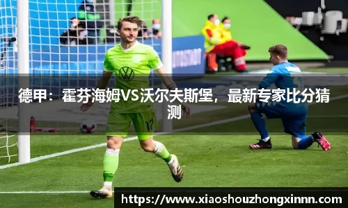 德甲：霍芬海姆VS沃尔夫斯堡，最新专家比分猜测